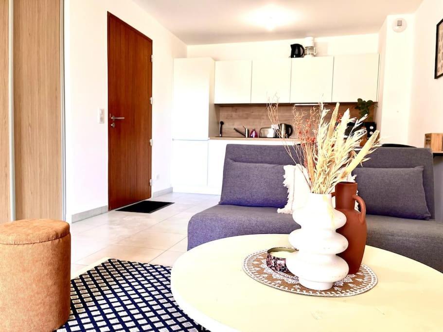 Appartement Neuf Avec Terrasse サン・フロラン エクステリア 写真